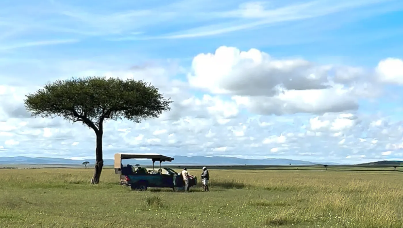 One vehicle and its guests under a lone acacia on open plains
